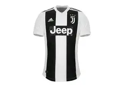 尤文图斯2024赛季阵容